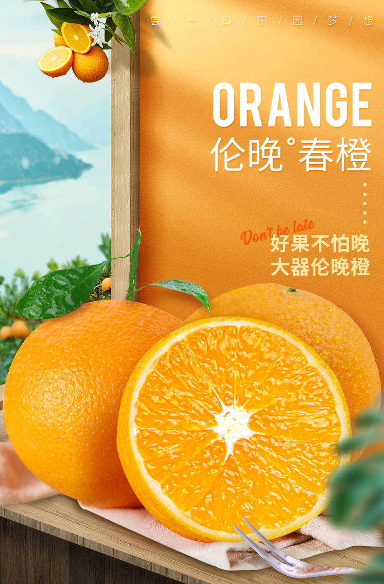 湖北秭归伦晚脐橙果肉细腻甜润多汁花果同枝14个月生长周期家庭装彩箱