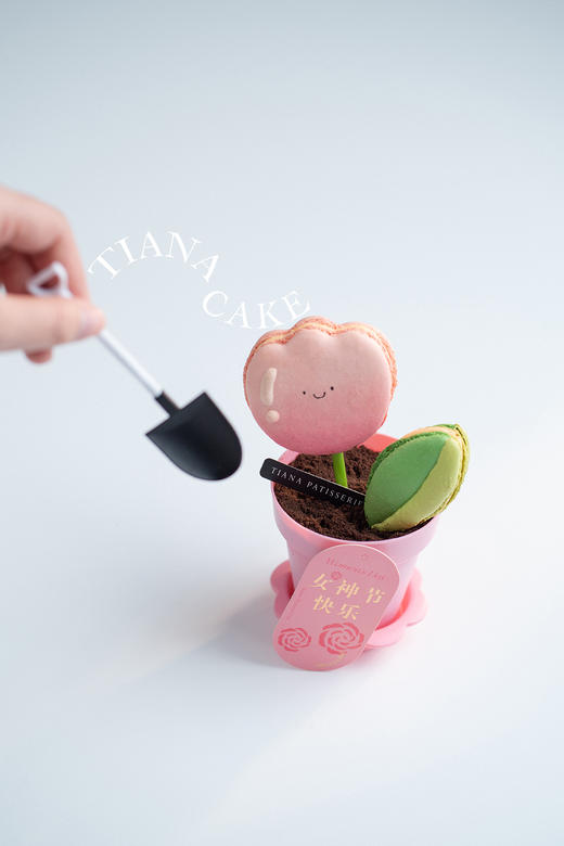 仙女万岁（马卡龙盆栽杯子蛋糕） 商品图1