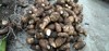 自然农耕酵素芋头，土豆，南瓜   顾元军生态农场 商品缩略图6