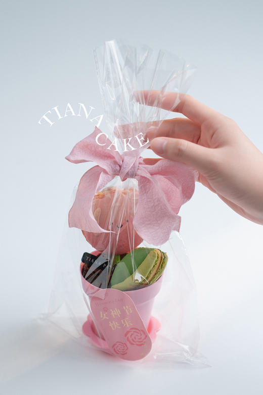仙女万岁（马卡龙盆栽杯子蛋糕） 商品图3