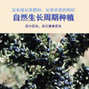 沃山农青海有机黑果枸杞90g/袋 商品缩略图2