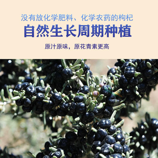 沃山农青海有机黑果枸杞90g/袋 商品图2