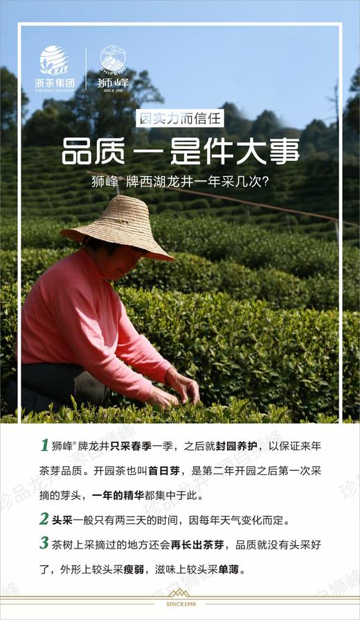 2026年新茶预定狮峰牌西湖龙井-宽心精品5A半斤纸包 商品图2