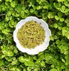 2026年新茶预定狮峰牌龙井品味甄选 250g纸包 商品缩略图2