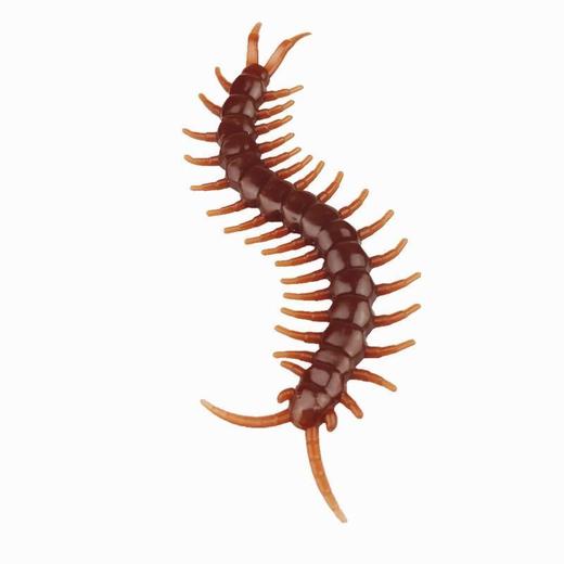 仿真蟑螂愚人节玩具吓一跳蜈蚣整人道具毒蝎子逼真小虫子假小强生 商品图4