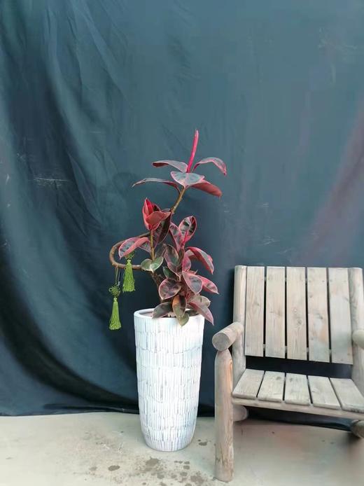 条纹水泥盆-红公关 商品图0