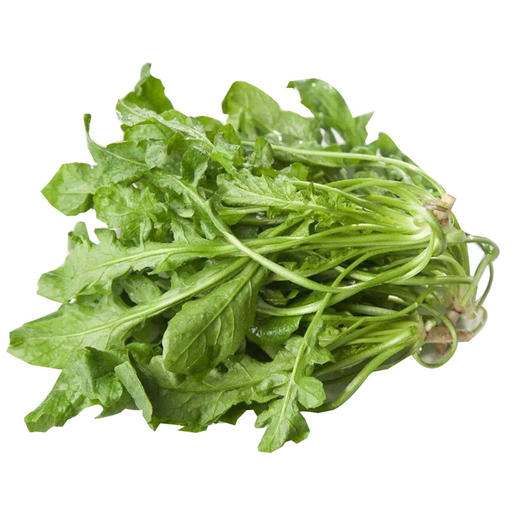 生态蔬菜荠菜200g 京津冀满百包邮 商品图5
