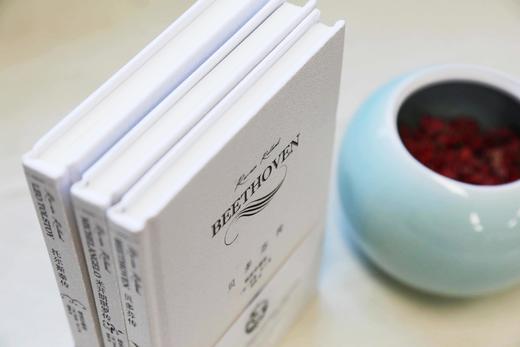 名人传 贝多芬传/米开朗琪罗传/托尔斯泰传 （法）罗曼罗兰著 傅雷译 小32开精装便携本 中国青年出版社 商品图2