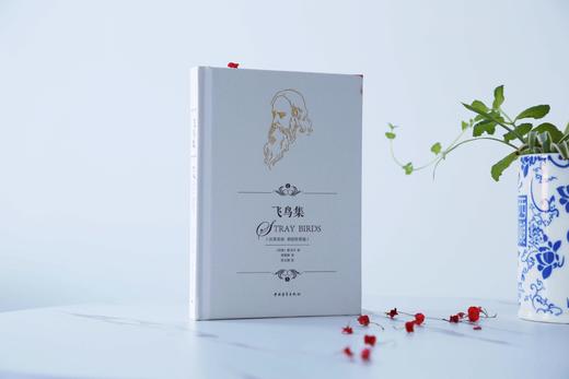 飞鸟集 泰戈尔诗集精装 汉英双语彩绘珍赏版 郑振铎译 小32开便携本中国青年出版社 商品图1