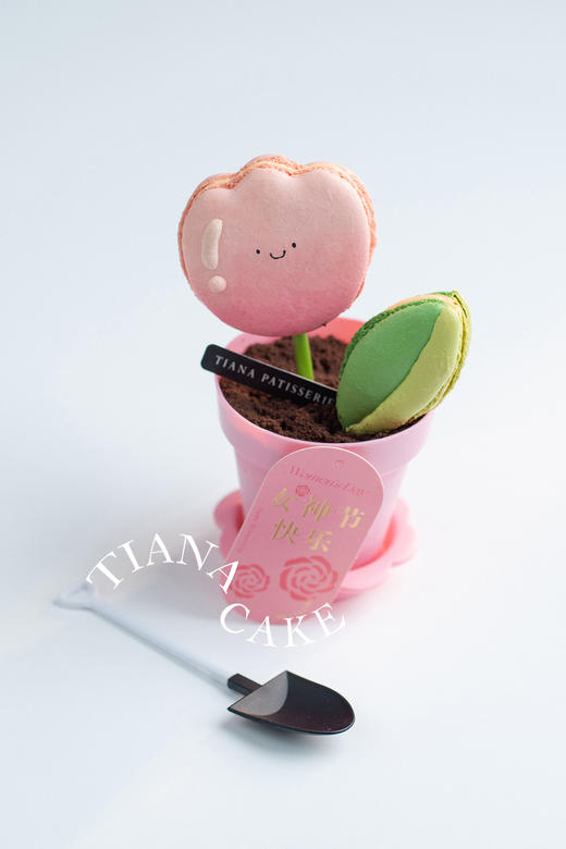 仙女万岁（马卡龙盆栽杯子蛋糕） 商品图0