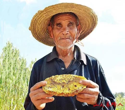 【蜂蜜】深山土蜂蜜500g/罐 商品图1