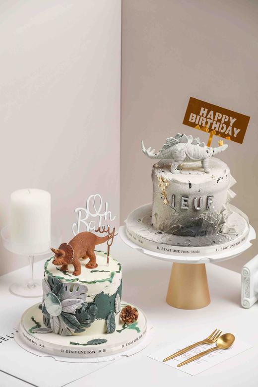 丛林三角龙 商品图2