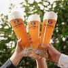 Paulaner/保拉纳 柠檬拉德乐精酿啤酒 500ml*24听整箱 德国原装进口 低度果味啤酒 商品缩略图2