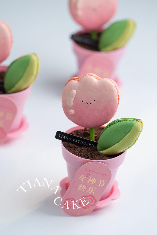 仙女万岁（马卡龙盆栽杯子蛋糕） 商品图4