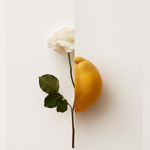 【中欧班列精选】BURBERRY/博柏利 我的博柏利女士浓香水30ml/90mLYZ 商品图1