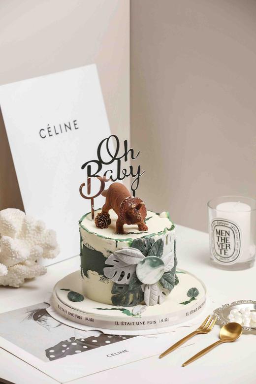 丛林三角龙 商品图0