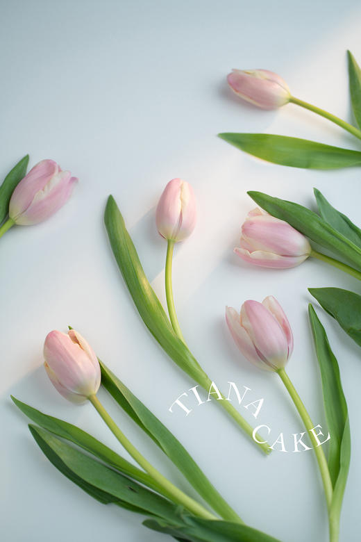 特别的你（4寸无糖黑森林） 商品图2