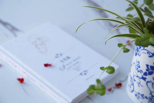 飞鸟集 泰戈尔诗集精装 汉英双语彩绘珍赏版 郑振铎译 小32开便携本中国青年出版社 商品图3