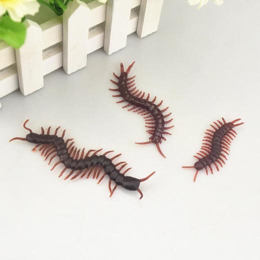 仿真蟑螂愚人节玩具吓一跳蜈蚣整人道具毒蝎子逼真小虫子假小强生 商品图1
