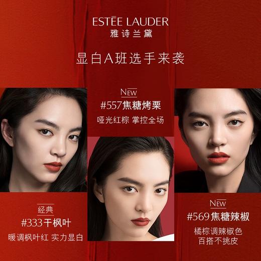 雅诗兰黛 绝色倾慕唇膏系列-哑光569 商品图2