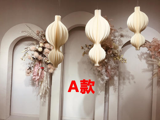 美人钻（运费自理） 商品图2