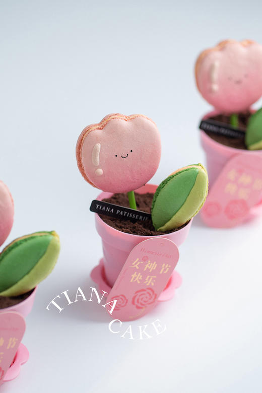 仙女万岁（马卡龙盆栽杯子蛋糕） 商品图2