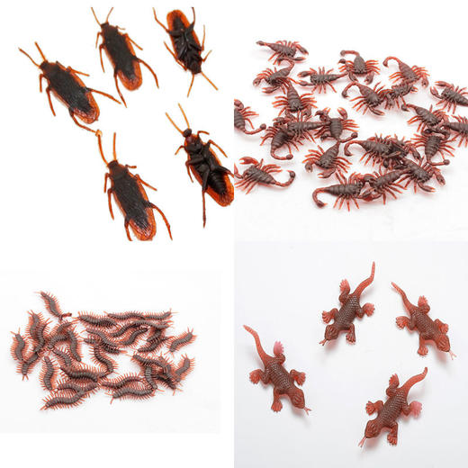 仿真蟑螂愚人节玩具吓一跳蜈蚣整人道具毒蝎子逼真小虫子假小强生 商品图6
