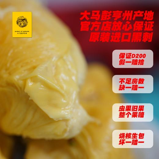 马来西亚 正宗黑刺猫山王榴莲D200 商品图3