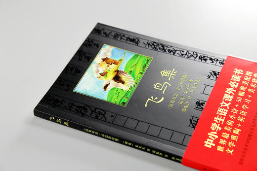飞鸟集泰戈尔著郑振铎译 汉英双语彩绘珍赏版 黑皮书中国青年出版社中小学生课外阅读必读书正品直发 商品图1