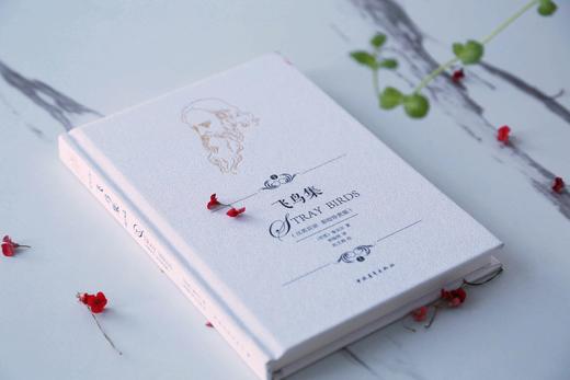 飞鸟集 泰戈尔诗集精装 汉英双语彩绘珍赏版 郑振铎译 小32开便携本中国青年出版社 商品图2