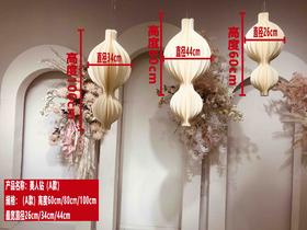 美人钻（运费自理）