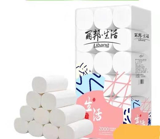 丽邦生活卫生纸2250克 商品图0