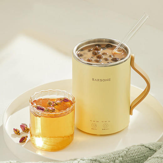 【桌面养生推荐】朋森办公室养生杯迷你多功能便携式电热烧水杯小型煮粥煮茶炖煮杯 商品图0