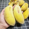 【福建土楼苹果蕉】 皮薄肉厚、口感细腻、果香浓郁 商品缩略图7