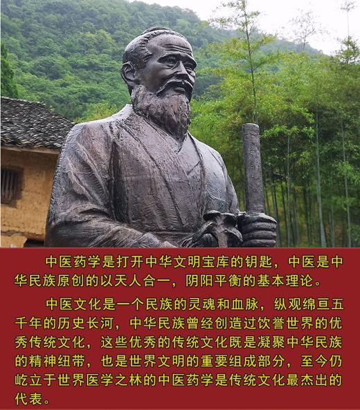 中国医学大成（全50册） 商品图4