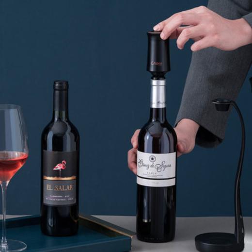 Cheer启尔 Cyclone蓝牙电子醒酒器 快速醒酒器 创意礼品礼盒套装 商品图3