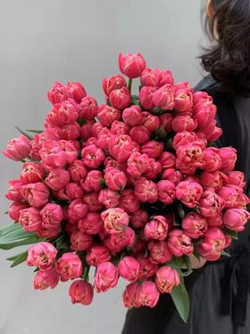 三八女神月鲜花专场 昆明鲜花 高端花： 次卡/季卡/年卡