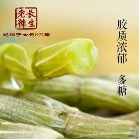 铁皮石斛鲜条500g【磐安长生老号】