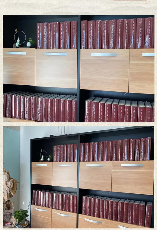 中国医学大成续集 49册 商品图0