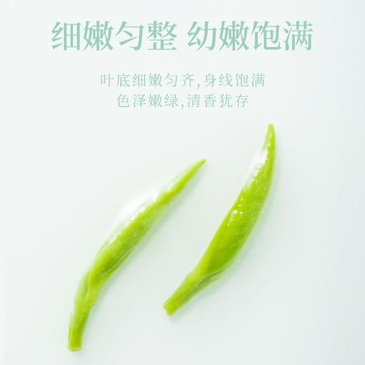 【臻尖-至尚】新茶 明前嫩芽毛尖绿茶100g*2罐 商品图5