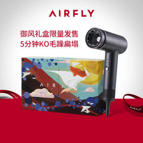[新年礼物]AIRFLY吹风机家用负离子鱼子酱护发大风力高速电吹风筒