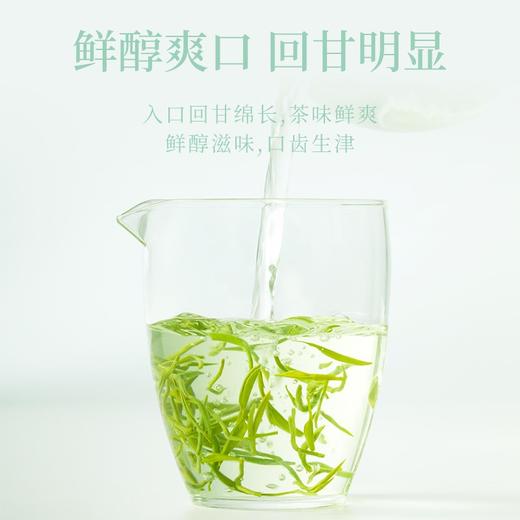 【臻尖-至尚】新茶 明前嫩芽毛尖绿茶100g*2罐 商品图4