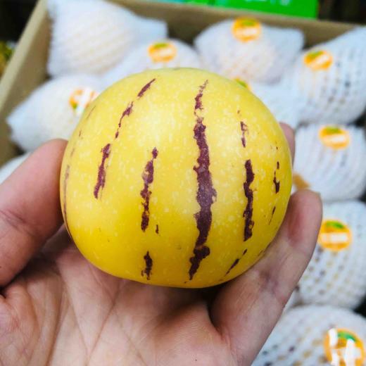 空运货长寿人参果七彩果清甜可口水份超多高蛋白低脂肪低糖水分多的