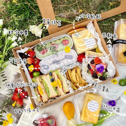 | 春游野餐盒 | 商品图0