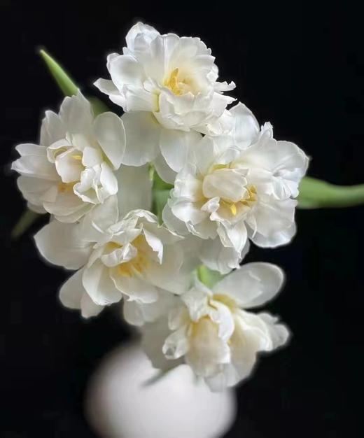 氧气商城三八女神月鲜花专场 昆明鲜花 品质花： 次卡/季卡/半年卡/年卡 商品图2