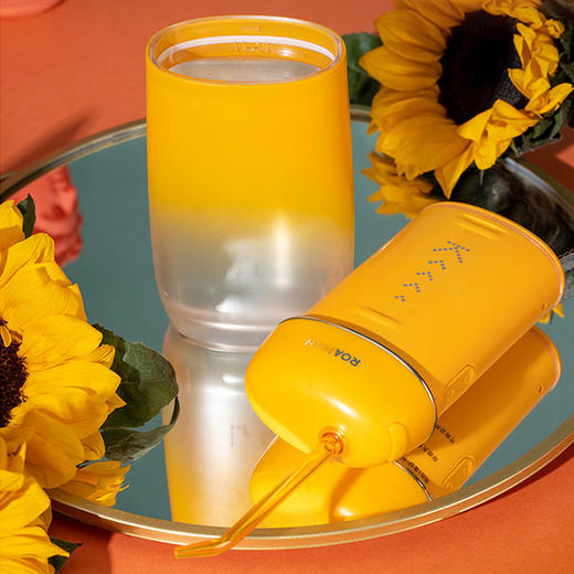 国货质造罗曼小香妃冲牙器Mini8 商品图0