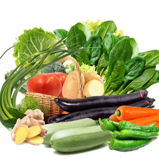 25种必备蔬菜任你选 商品图0
