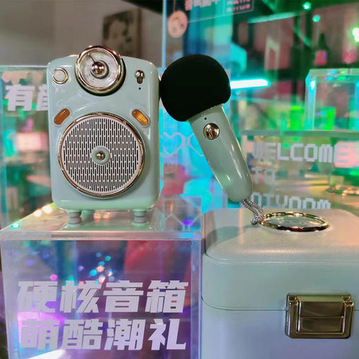Divoom点音蓝牙音响智能家用小音箱家庭户外卡拉OK音箱迷你无线音响小型HIFI发烧级高保真音质专业K歌音箱 商品图5