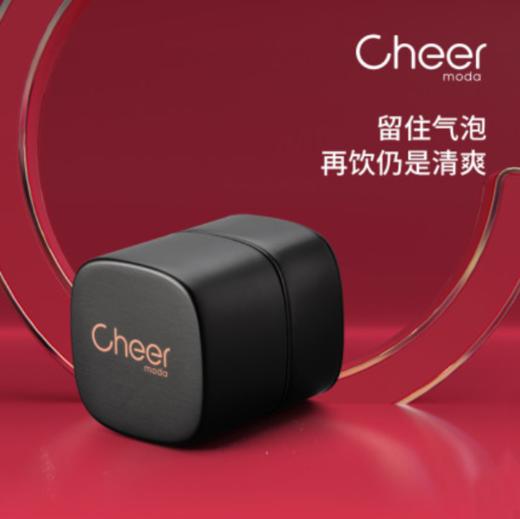 cheer 香槟保鲜酒塞 酒塞香槟塞酒瓶塞子气泡酒瓶塞保鲜塞 商品图0