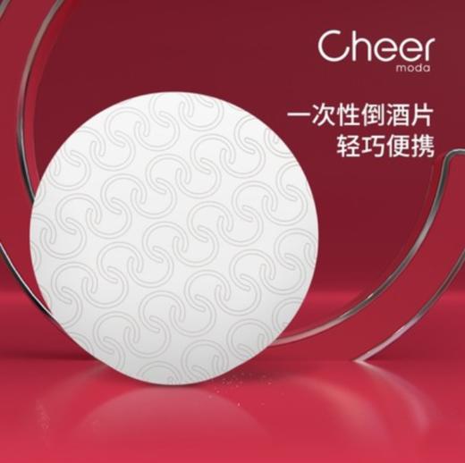 Cheer启尔倒酒器引酒器红酒倒酒器倒酒片红酒塞分酒器酒嘴引酒器 商品图0